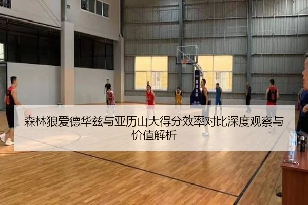森林狼爱德华兹与亚历山大得分效率对比深度观察与价值解析